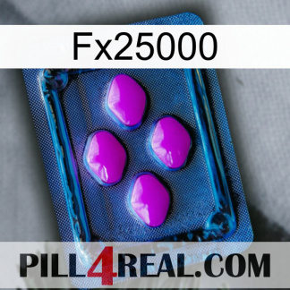 Fx25000 04